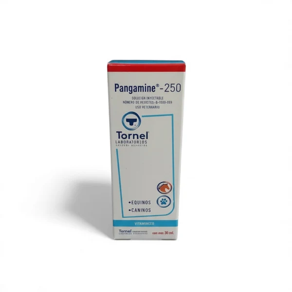 Buy Pangamine 250 Solution Injection 30ml Online - Pangamine 250 Solution Injection 30ml For Sale Online