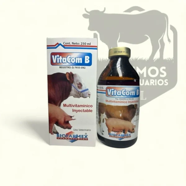 Shop VitaCom B 250ml Online - VitaCom B 250ml For Sale Online