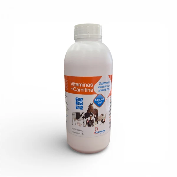 Buy Vitamins + Carnitine Online - Vitamins + Carnitine For Sale Online