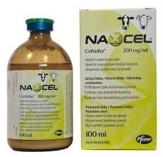 Naxcel 200mg