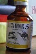 dexone-5-e1643665218121.jpg