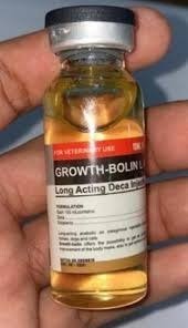 GROWTH-BOLIN L.A