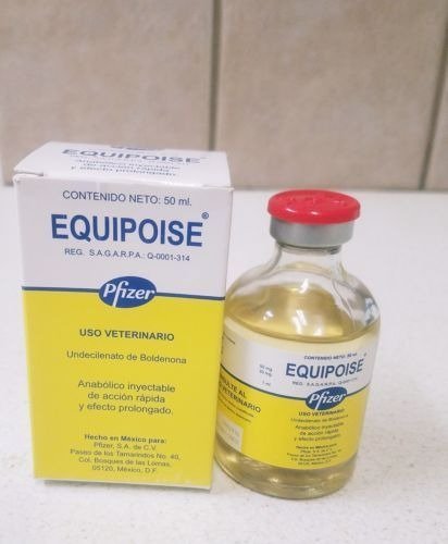 equipoise-1-1.jpg