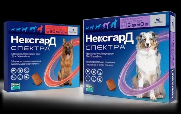 Nexgard Spectra